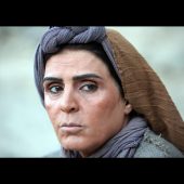 آهو خردمند و کمی درباره ی وی