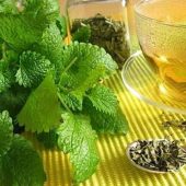 دمنوش بادرنجبویه