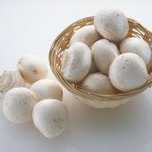 سالاد قارچ و کاسنی