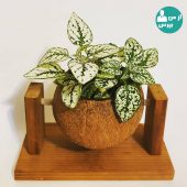 وسایل دکوراتیو چوبی جلوه گر دکوراسیونی جذاب و خیره کننده