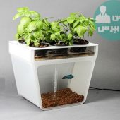 گلدان های آکواریومی و ایجاد دکوراسیونی خاص و ایده آل در منزل