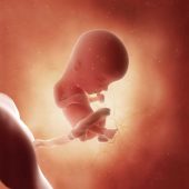 چه نکاتی را باید در هفته بیستم بارداری رعایت کنید