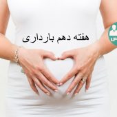 هفته دهم بارداری