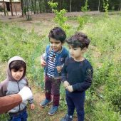 ترس از حشرات در کودکان