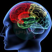 پیشرفت تکنولوژی و اتصال مغز سه انسان به یکدیگر